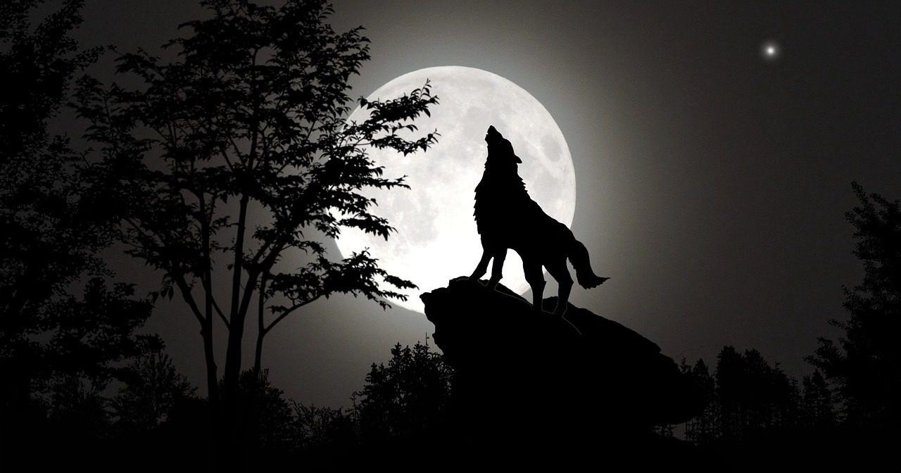 5 autres jeux comme loup-garou